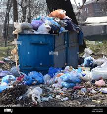 Best Hoarding Cleanup  in Island Walk, FL