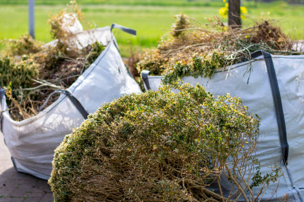 Trusted Island Walk, FL Junk Removal Services Experts